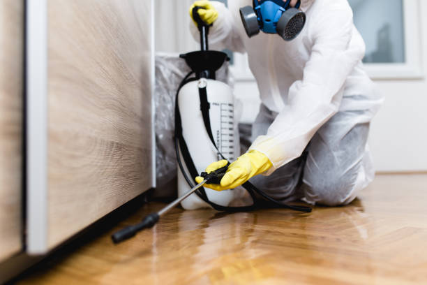  Ol, LA Pest Control Pros