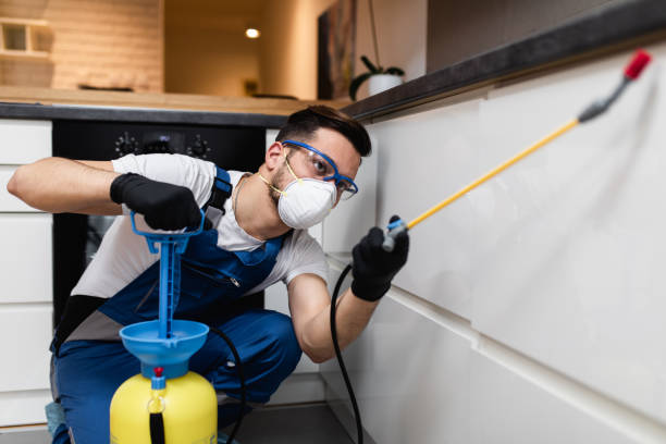 Best Pest Removal Services  in Ol, LA