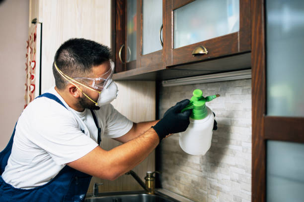 Best Mosquito Control Services  in Ol, LA