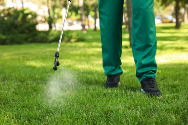 Best Commercial Pest Control Services  in Ol, LA