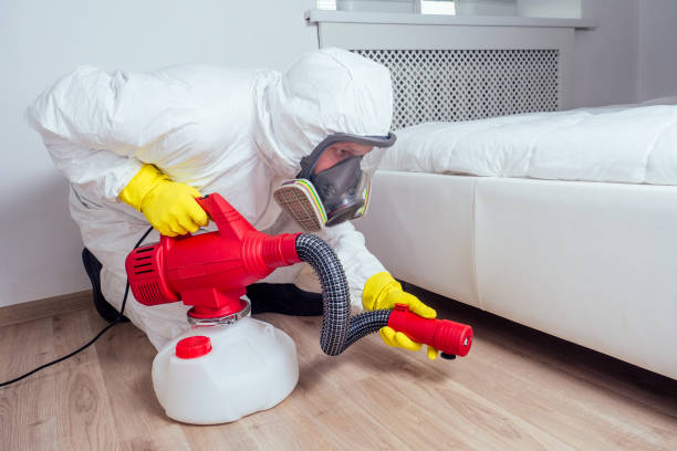 Best Emergency Pest Control  in Ol, LA