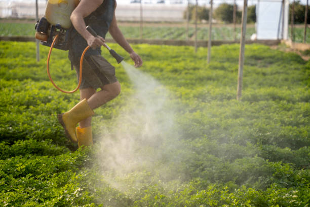 Best Pest Control Near Me in Olla, LA