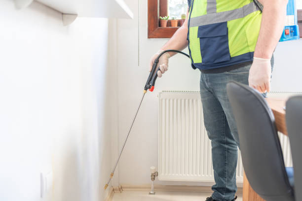 Best Bed Bug Extermination  in Ol, LA