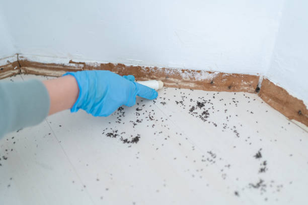 Olla, LA Pest Control Company