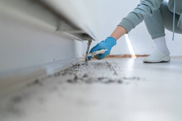 Professional Pest Control in Olla, LA