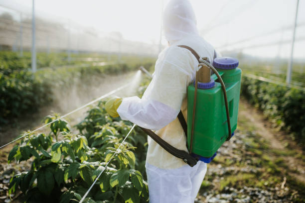 Best Pest Prevention Services  in Ol, LA